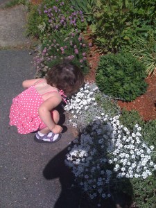 Haley stopping to smell the flowers before I could appreciate how important those moments are. We had so little time together before the seizures and drugs invaded. 
